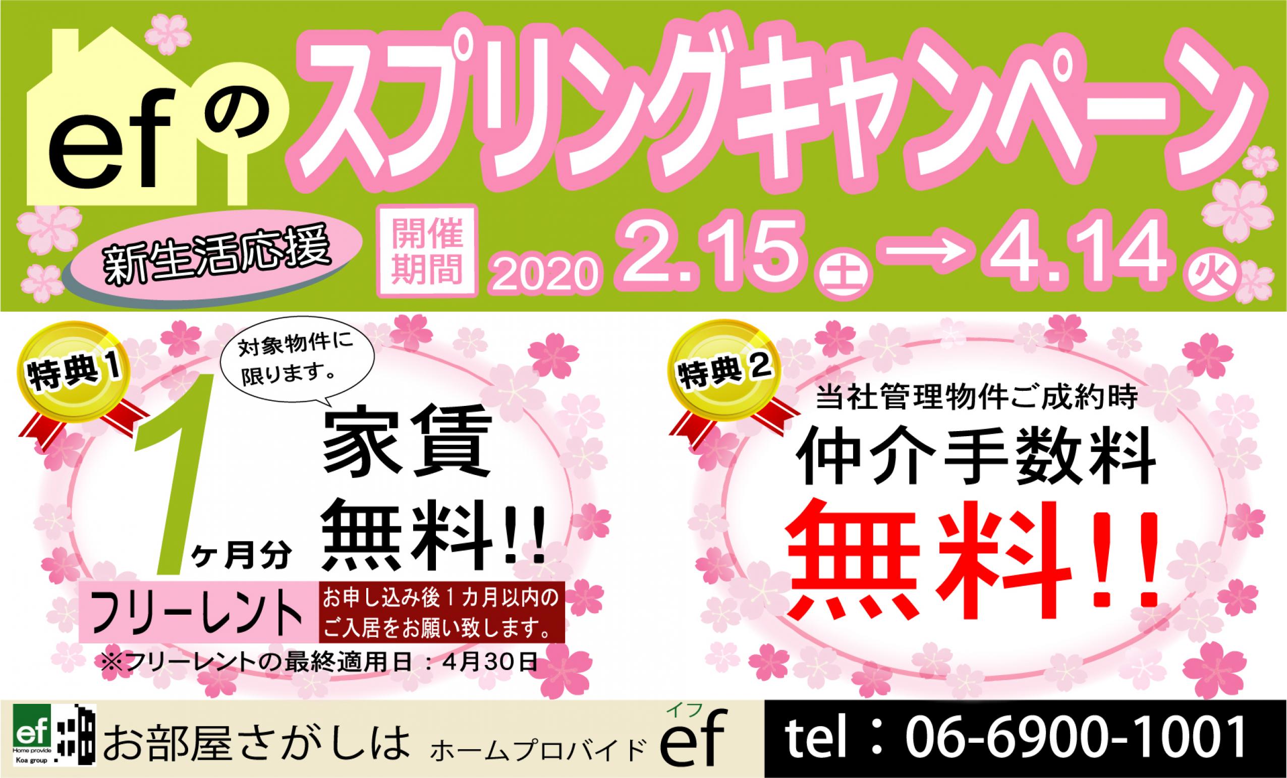 2020スプリングキャンペーン