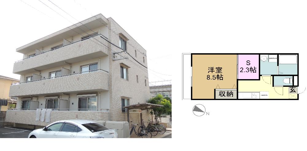 EMMA学南