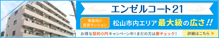 契約0円キャンペーン