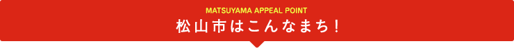 松山市はこんなまち!