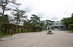 秋田大学手形