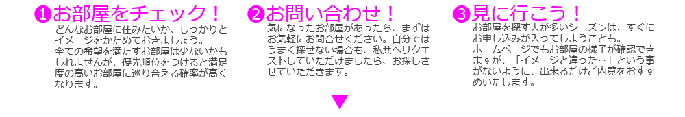 学生向特集