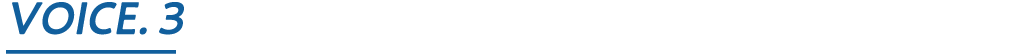 VOICE3
