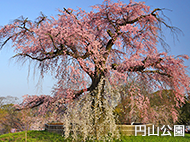 東山区・左京区_img01
