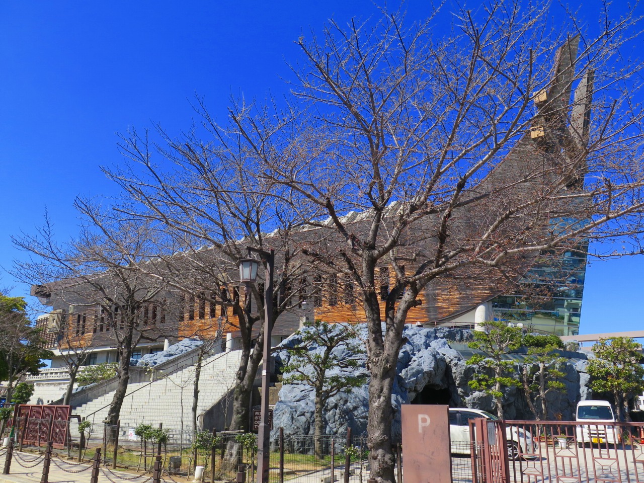 藤井寺市_シュラホール