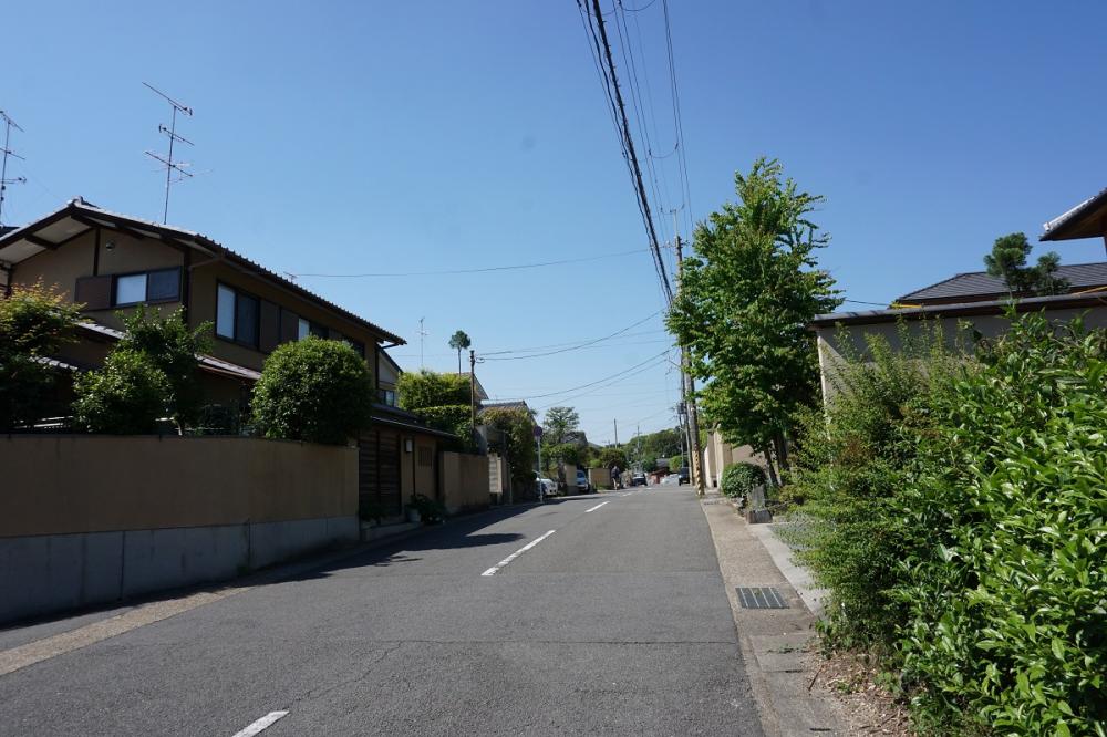桃山地区1