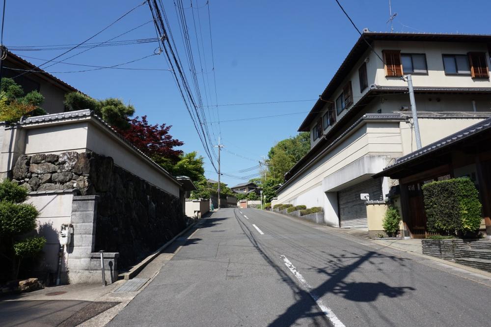 桃山地区2
