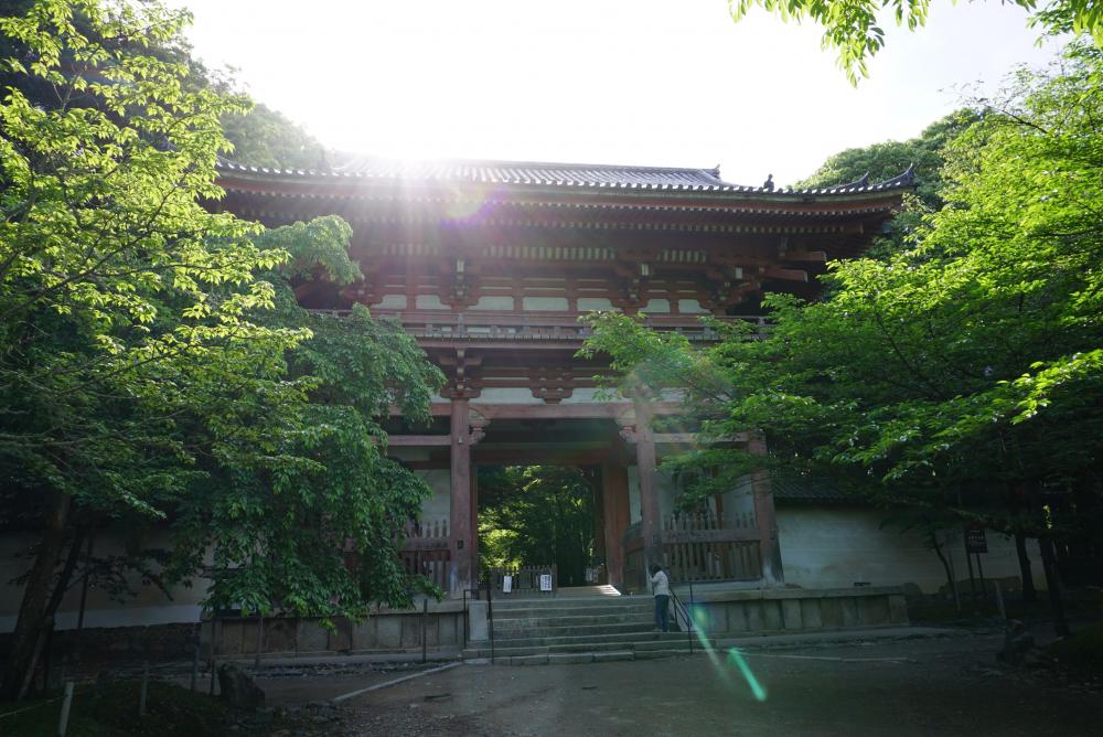 醍醐寺