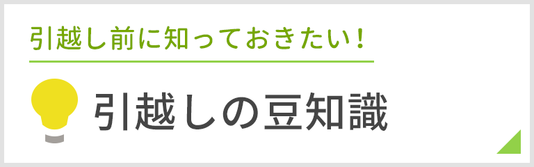 豆知識