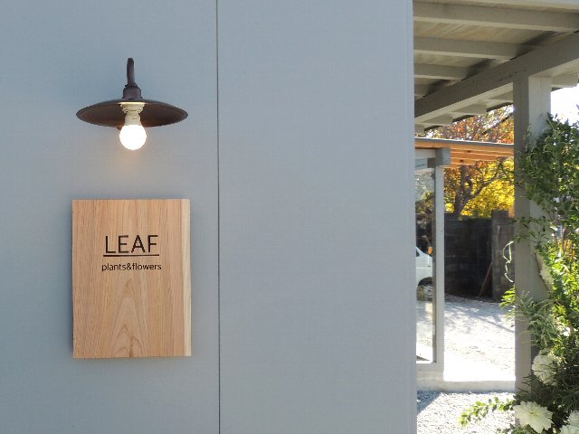 New Open Plants Flowers Leaf リーフ 花屋さん 宮崎大学を含む学生向け物件情報はベストハウジングへ New Open Plants Flowers Leaf リーフ 花屋さん 宮崎大学を含む学生向け物件情報はベストハウジングへ