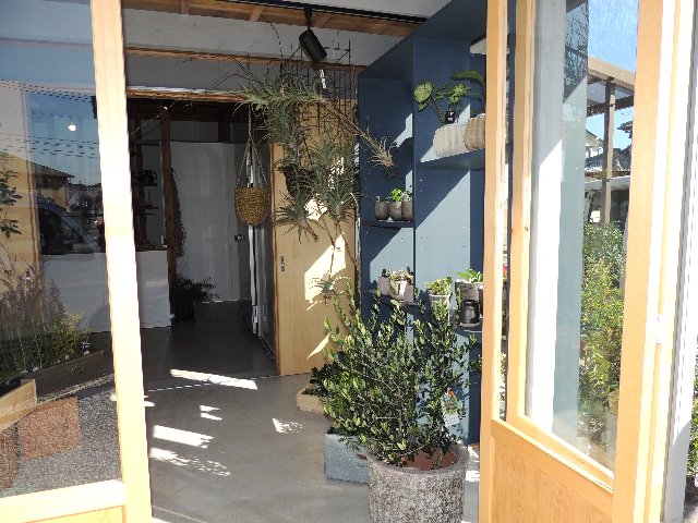 New Open Plants Flowers Leaf リーフ 花屋さん 宮崎大学を含む学生向け物件情報はベストハウジングへ New Open Plants Flowers Leaf リーフ 花屋さん 宮崎大学を含む学生向け物件情報はベストハウジングへ