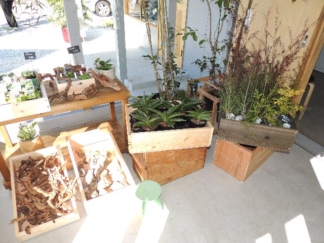 New Open Plants Flowers Leaf リーフ 花屋さん 宮崎大学を含む学生向け物件情報はベストハウジングへ New Open Plants Flowers Leaf リーフ 花屋さん 宮崎大学を含む学生向け物件情報はベストハウジングへ