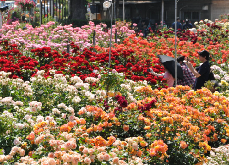 ばらのまち福山 福山市の賃貸物件 アパート マンション 一戸建てのお部屋探しは福山市賃貸ナビ ピタットハウス福山店 中国バス不動産 にお任せ下さい