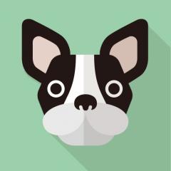 犬