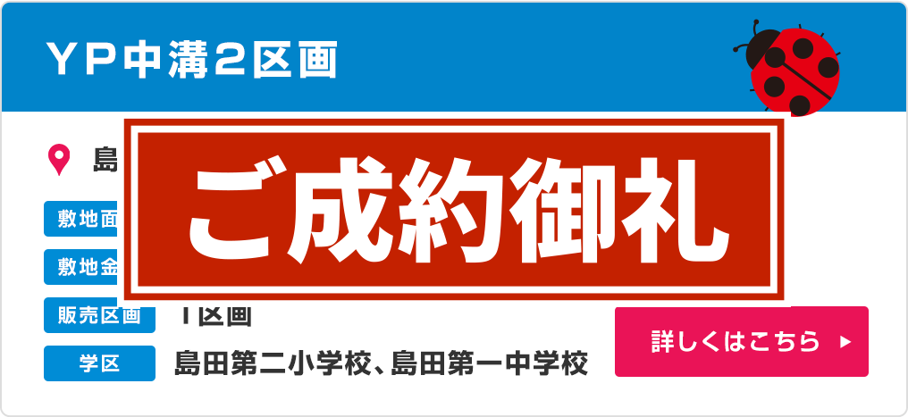 YP中溝全区画