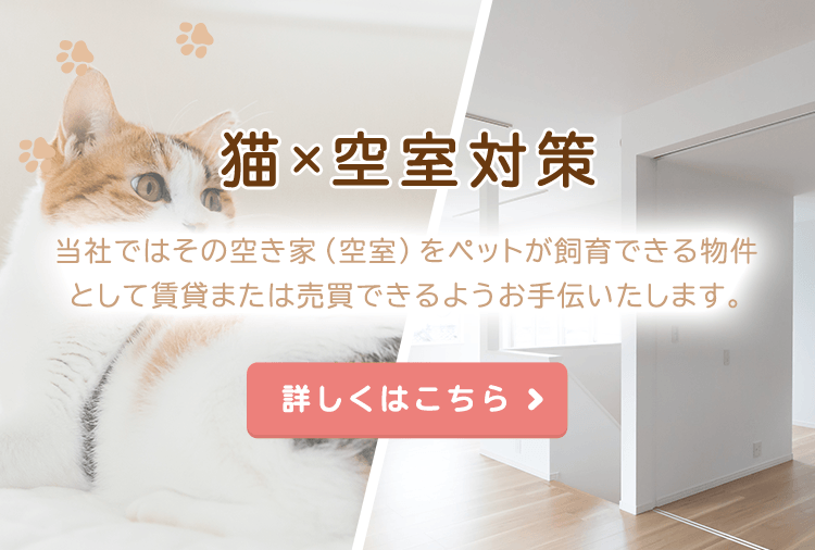 公式 猫とつながる不動産 福岡の猫可物件をお探しなら猫とつながる不動産まで