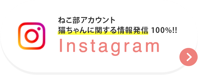 インスタグラムはこちら_ねこ部アカウント