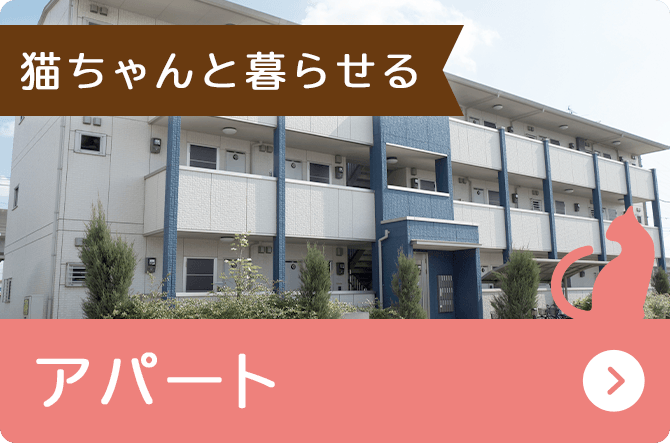 猫ちゃんと暮らせるアパート