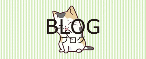 blog