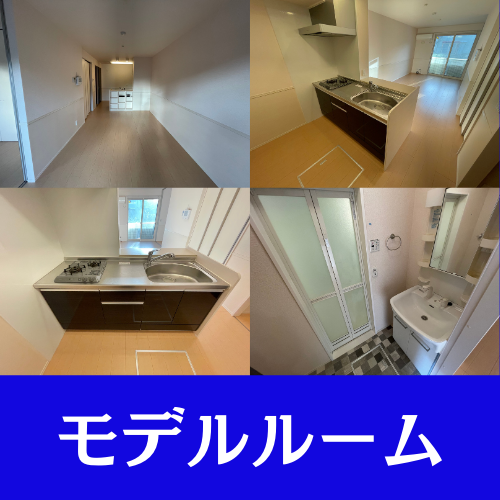 【DKハウス】 DKハウス （国際交流ができる大型シェアハウス） (@dk_house