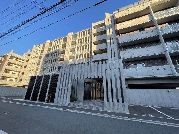 Amazon.co.jp: 高輪中学校 2025年度用 3年間（＋3年間HP掲載