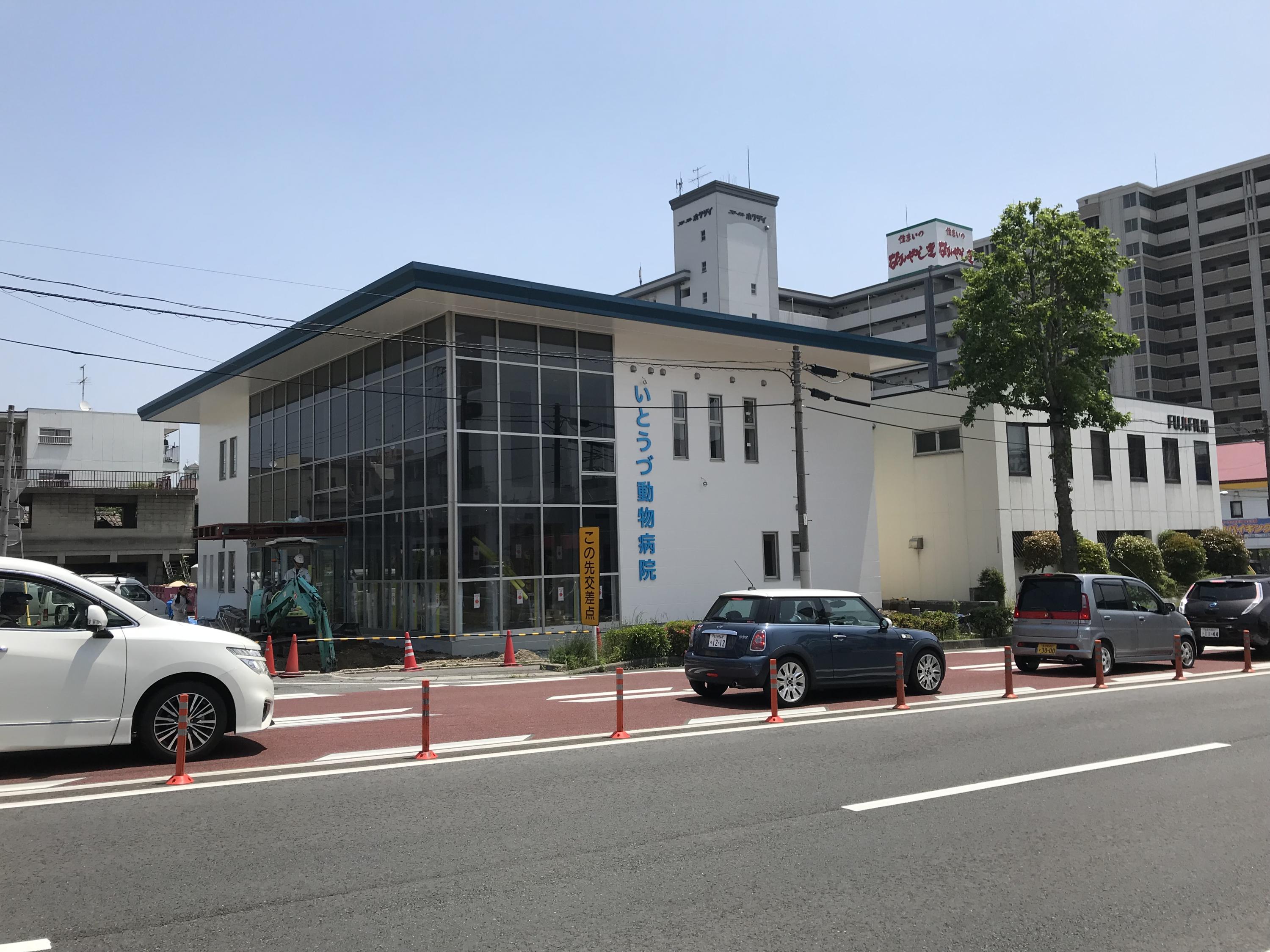 上到津のペット共生型賃貸マンション【エリアグリーン】犬・猫飼育OK! 有限会社エスエスホーム