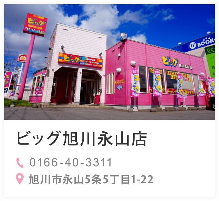 ビッグ旭川永山店
