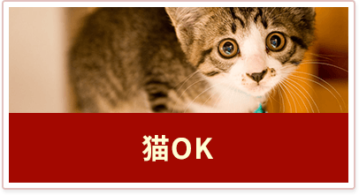 ペット可物件 猫OK