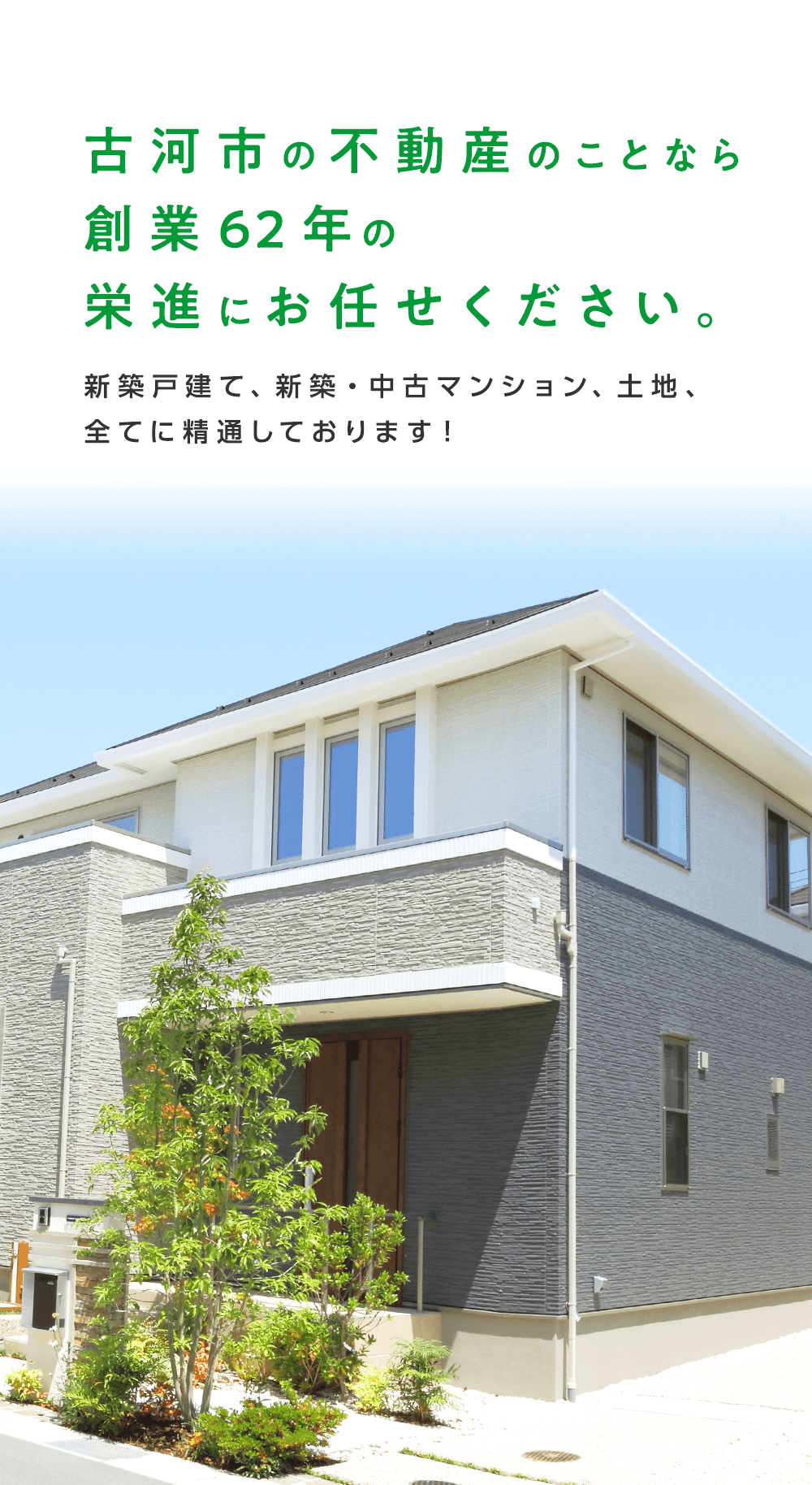 【中古】 宅地建物取引の知識 ６２年版/住宅新報出版/不動産取引研究会 中古】 宅地建物取引の知識 (62年版) （ハンドブック宅地建物