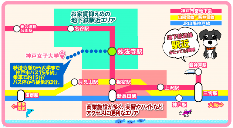 神戸女子大学