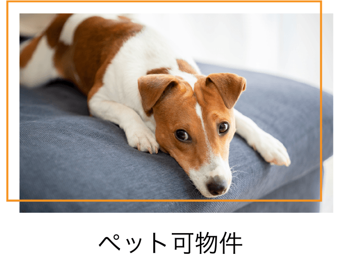 ペット可物件