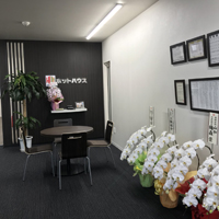 u_company_info04