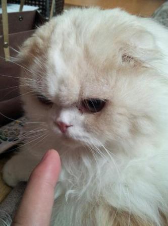 あなたは眠くなる あなたは眠くなる 僕は催眠術はかからないよ 山形市の幸信不動産 不動産相続のお悩み解決 あなたは眠くなる あなたは眠くなる 僕は催眠術はかからないよ 山形市の幸信不動産 不動産相続のお悩み解決