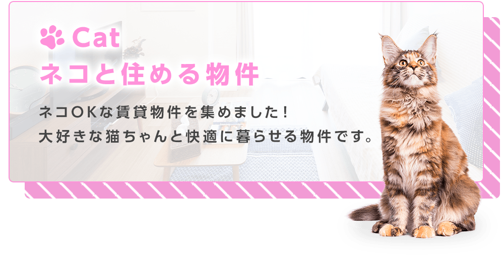 ネコと住める物件