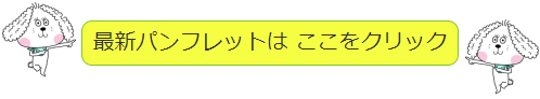 最新パンフレット2023