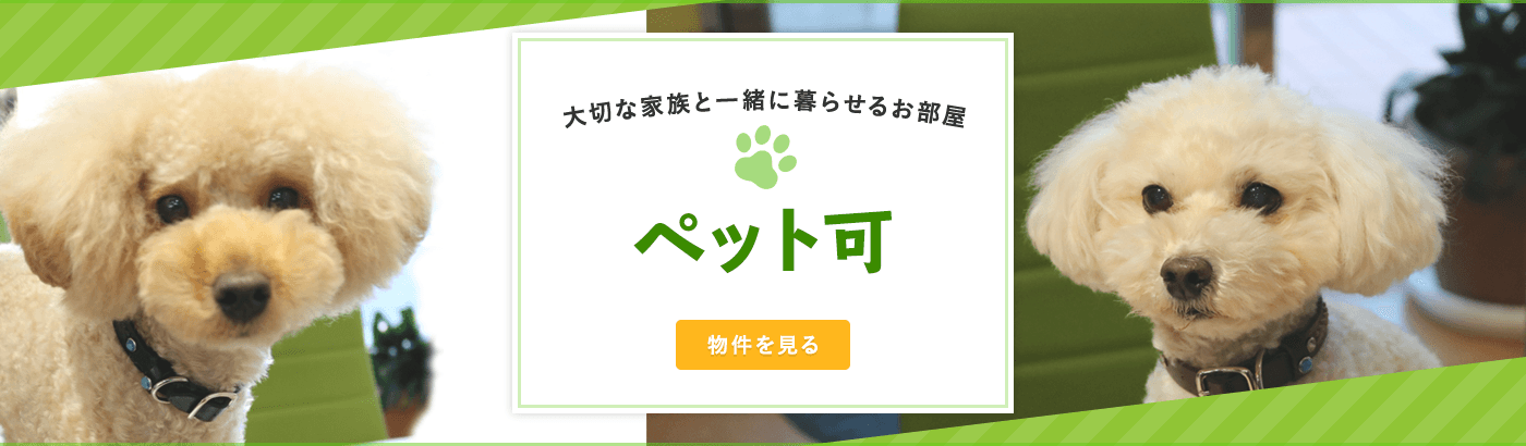 賃貸・こだわり特集・ペット可賃貸物件