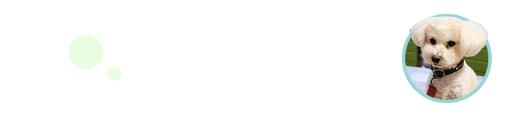 賃貸こだわり特集
