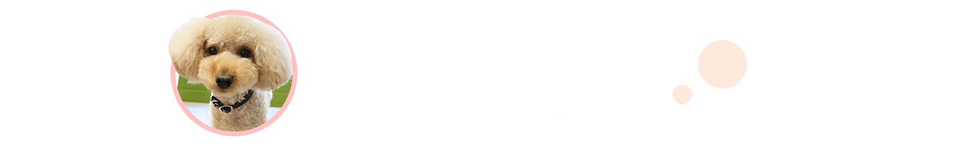 売買こだわり特集