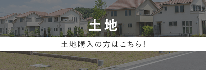 土地