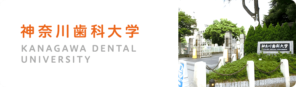神奈川歯科大学