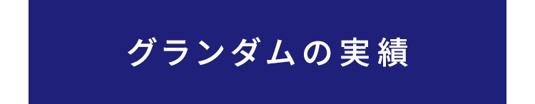 smp_title_グランダムの実績_太田不動産ナビ