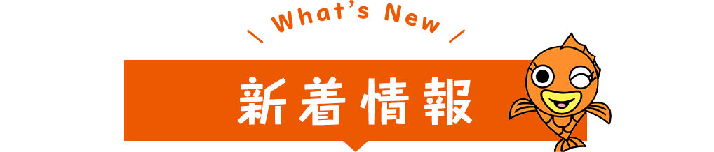 新着情報