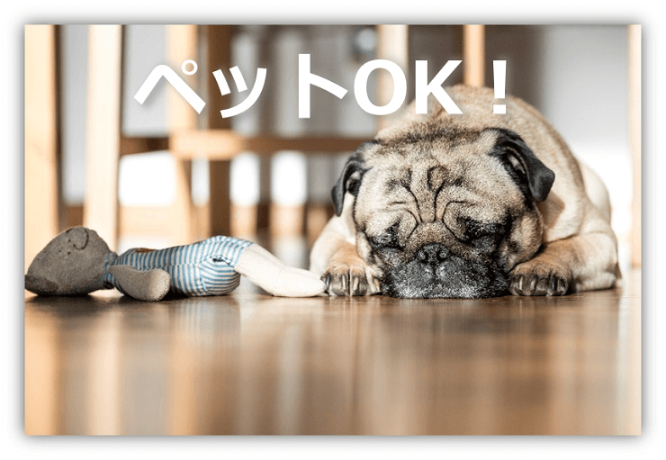 ペット飼育OK