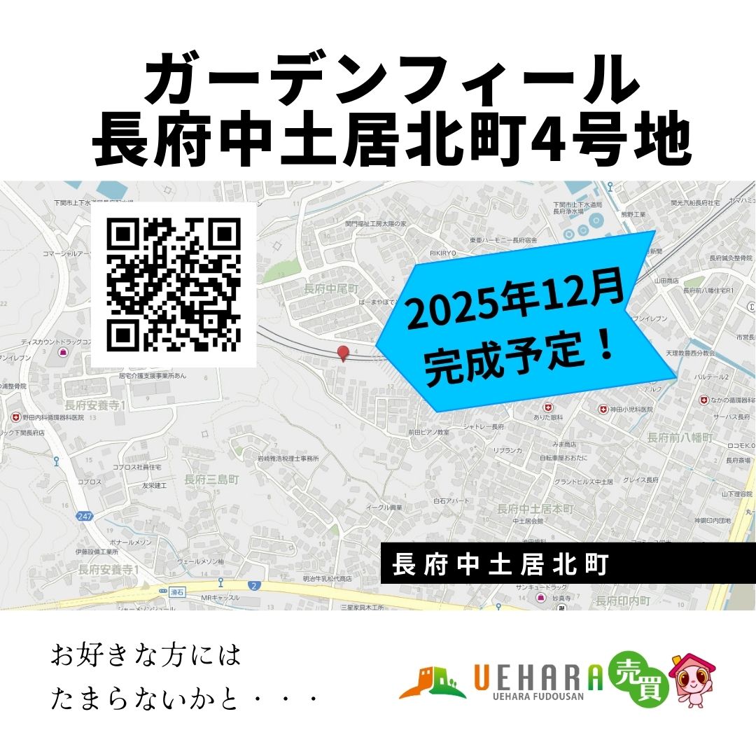 新愛媛風土記 早割予約受付中※】【送料無料】訳あり媛太陽まどんな「ブサイク