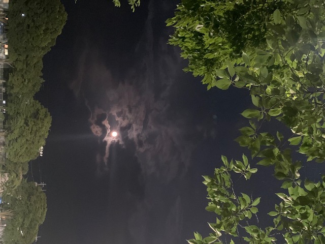 60debc23d138f.jpg (640×480)