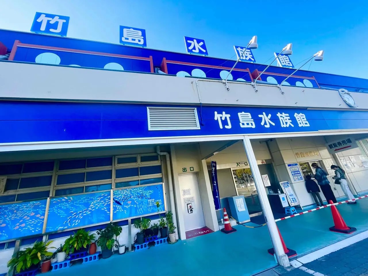 🐟水族館🐟 | マスター不動産株式会社