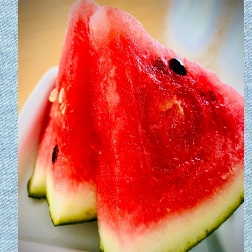 お塩はかけない派です 秋田賃貸ナビ 秋田住宅流通センター