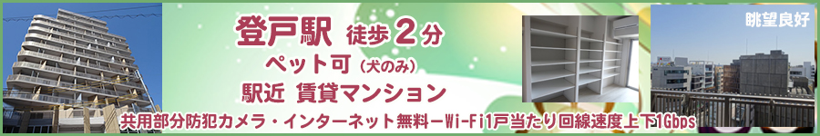 賃貸・こだわり特集・新築maruei7