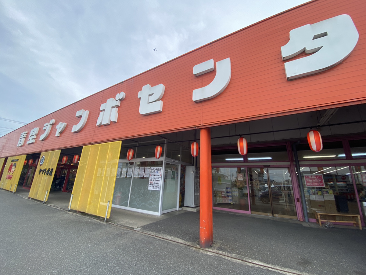 まぐろ解体ショー 君津の賃貸は 株 三船地所