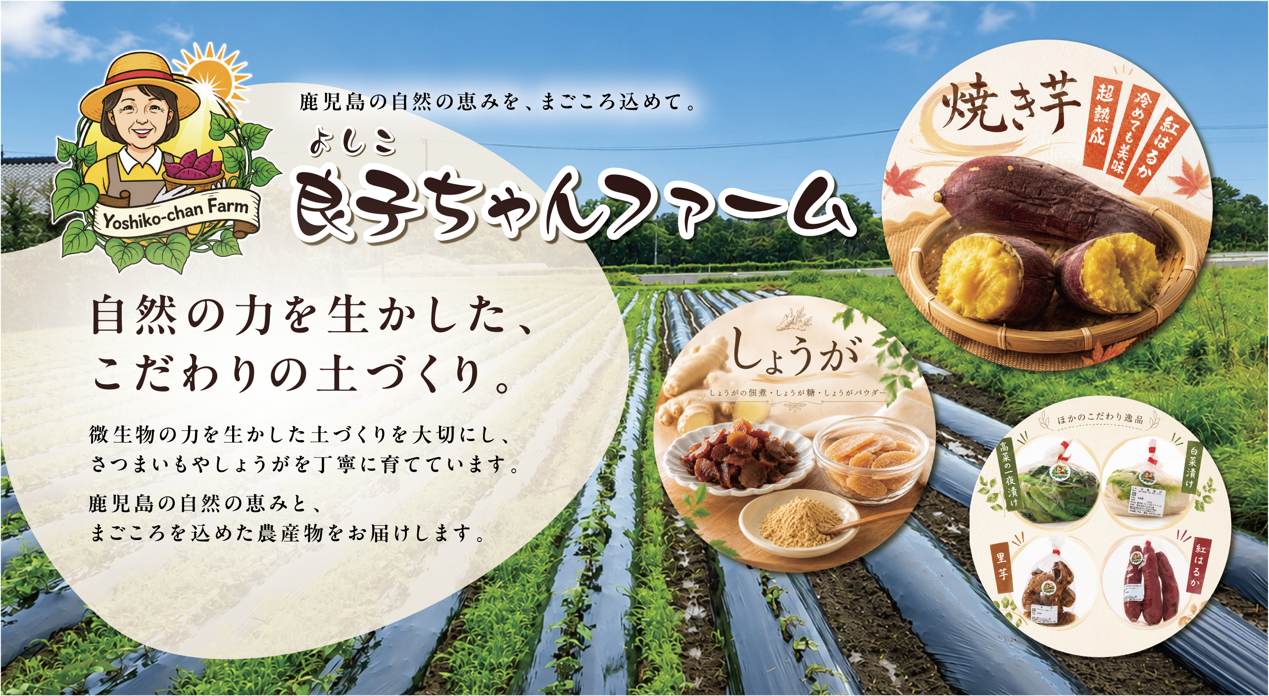 良子ちゃんファーム 鹿児島県出水市 農産物直売 さつまいも | 良子